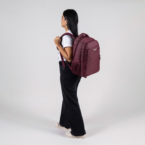 Mochila profesional magenta Chenson Pro by Chenson con soporte lumbar